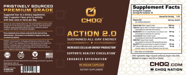 Action 2.0 - Image 3