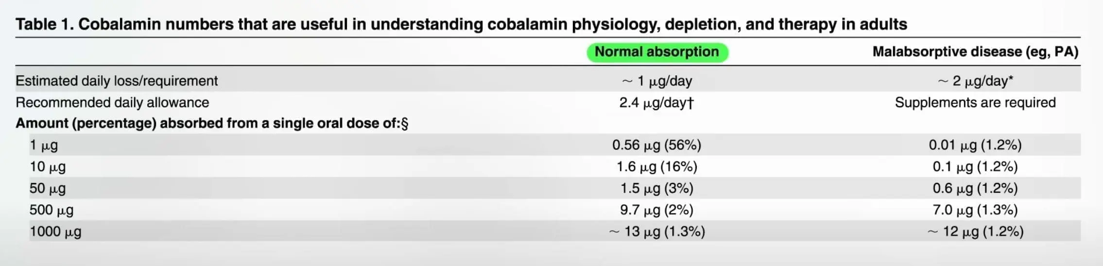 B12 Bioavailability