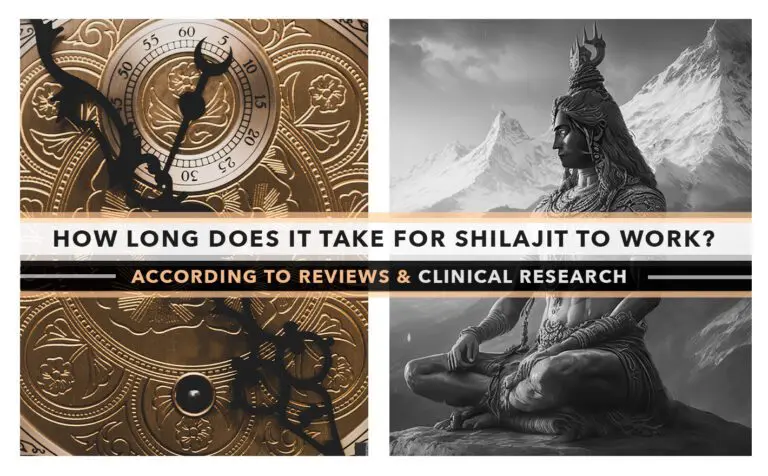 How Long Does It Take For Shilajit To Work?