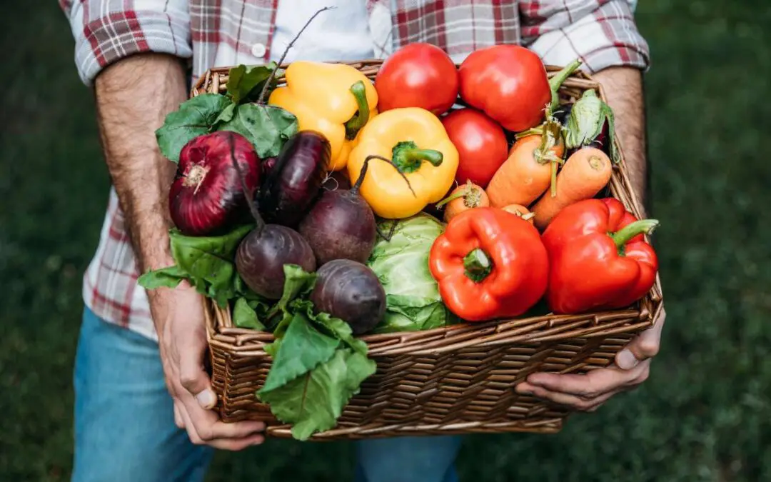 A person holding a wicker basket brimming with fresh vegetables set against a lush, natural background.