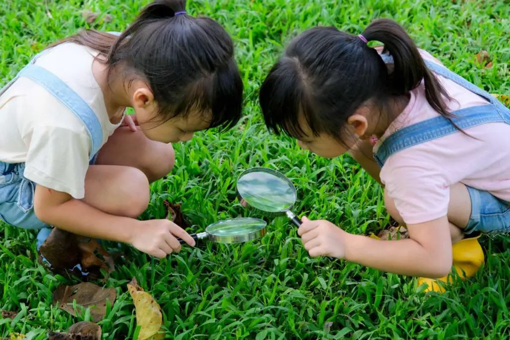 Children learn and explore nature with an outdoor magnifying glass.