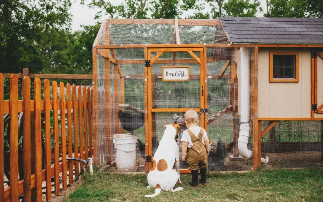 A toddler and a dog looking at a chicken coop.