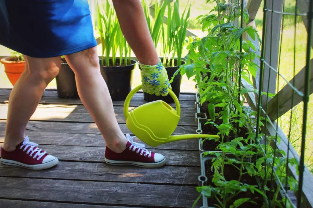 A person wearing gloves is watering plants with a yellow watering can on a wooden deck.