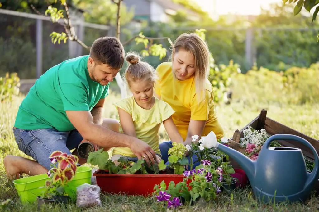 A family, consisting of a man and a woman with a young girl, is gardening together in their yard.