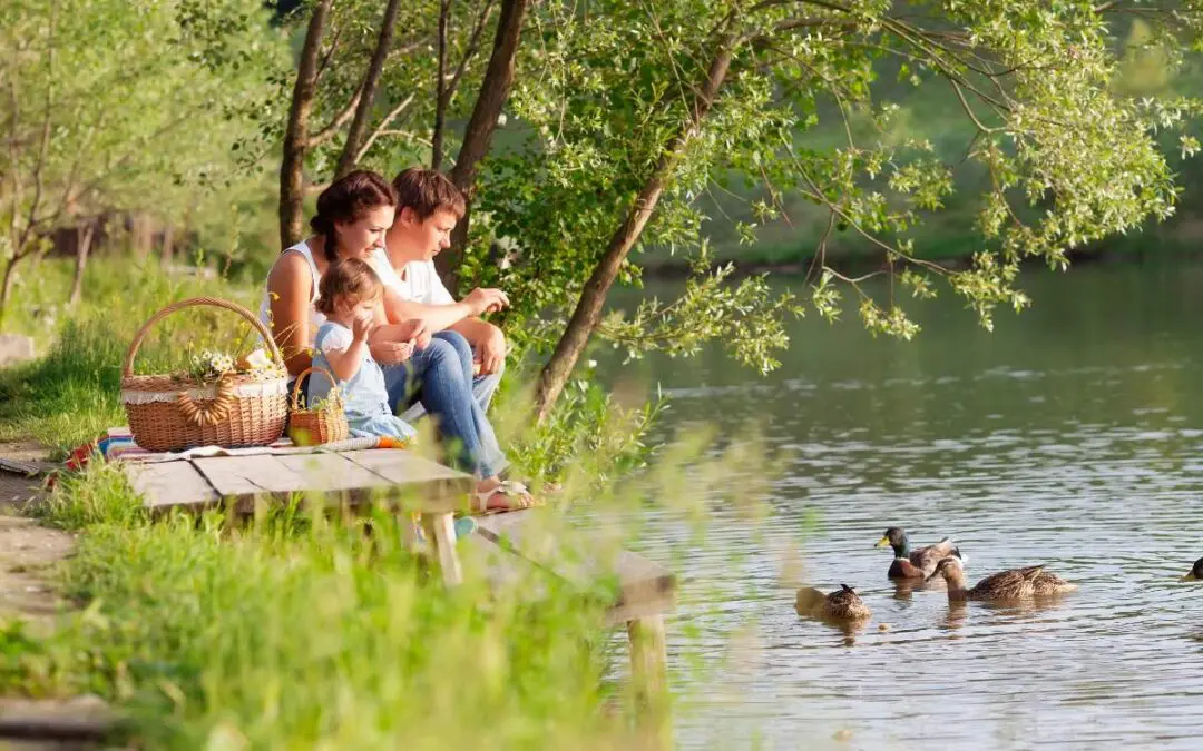 A family sitting by a lake, with a picnic basket nearby, enjoying the view of ducks swimming in the water.