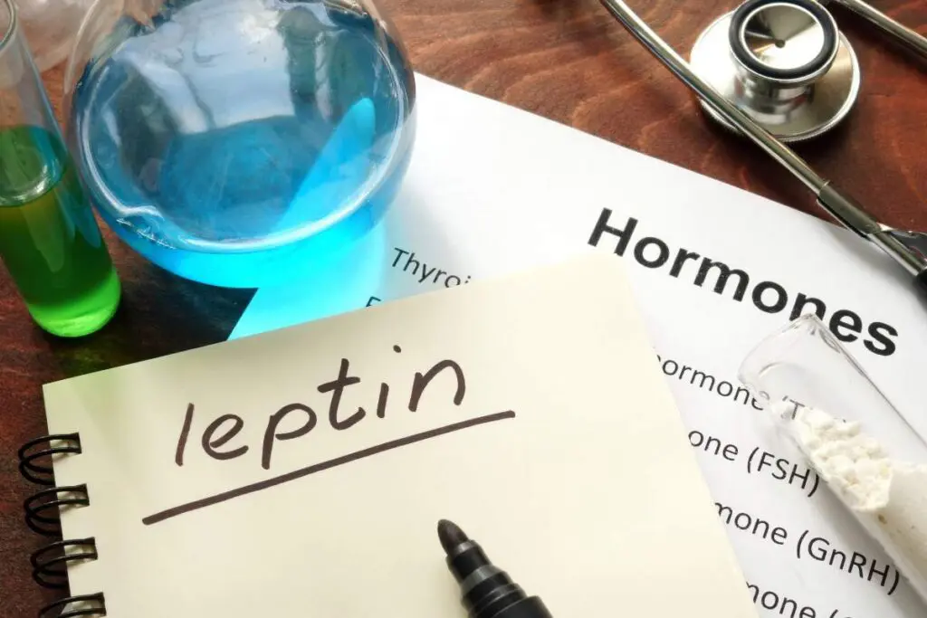 A notebook with the word "leptin" written on it, a blue liquid in a glass container, and a stethoscope on a table with papers labeled "Hormones."