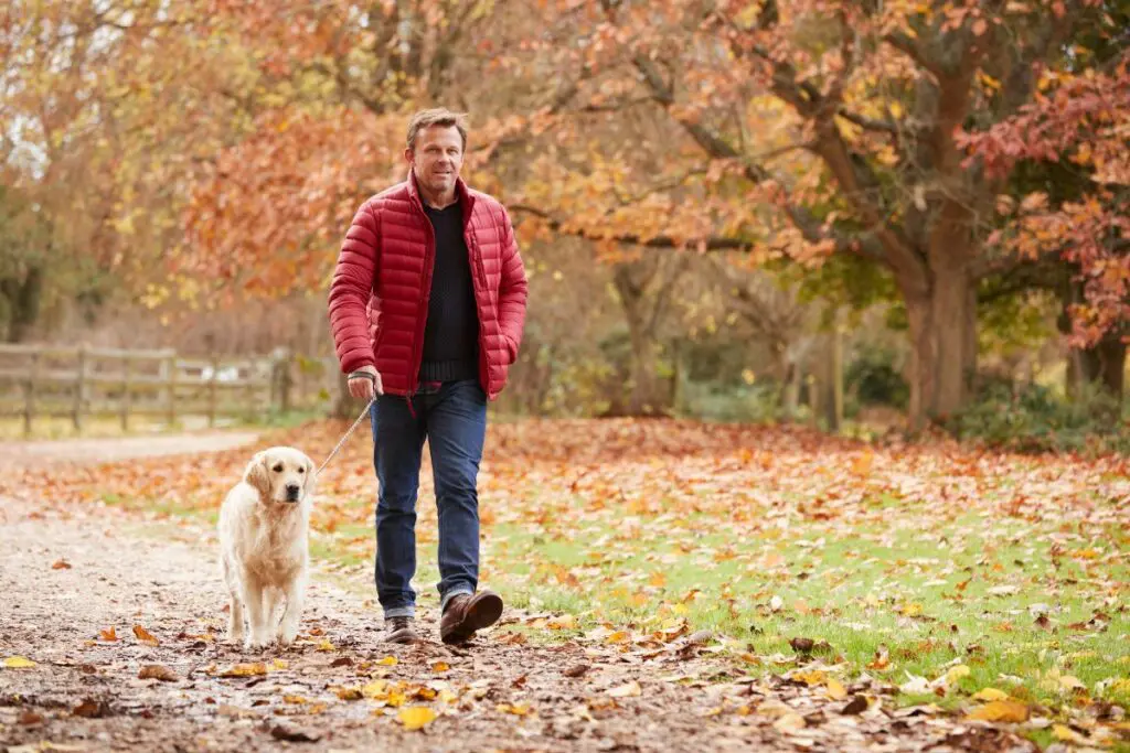 A man in a red jacket walking a golden retriever dog along a path covered with autumn leaves.