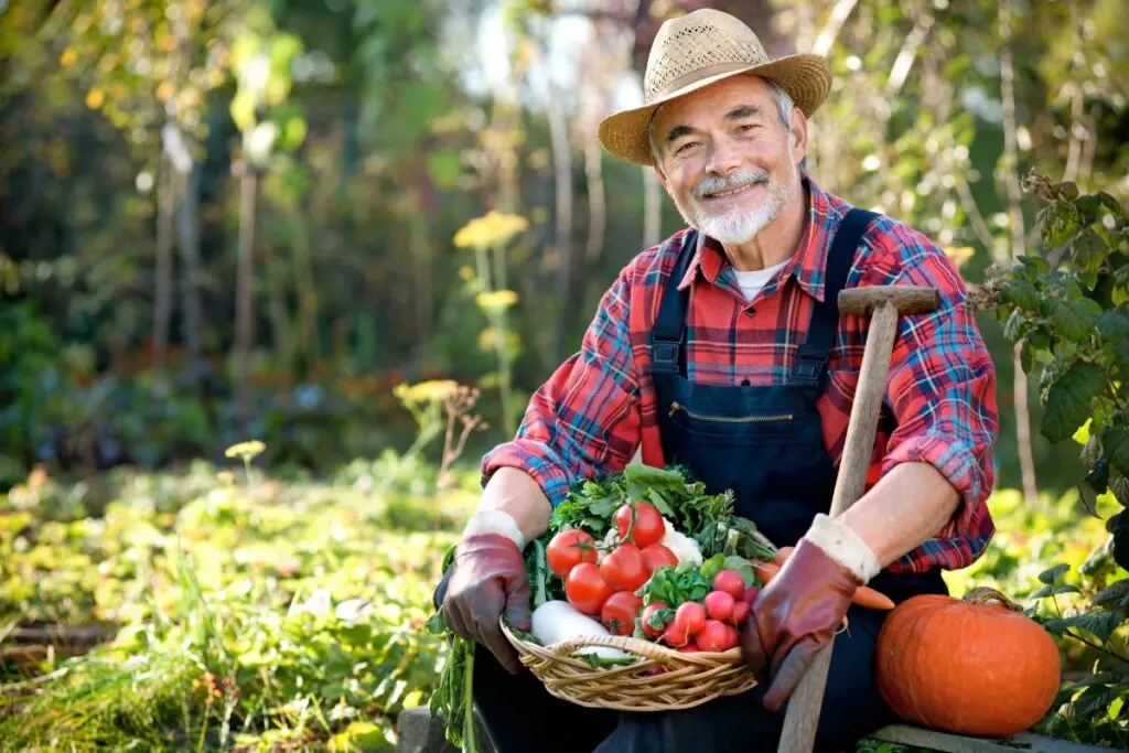 A smiling older man wearing a straw hat and gloves, sitting in a garden while holding a basket filled with various vegetables, including tomatoes and carrots, with a pumpkin nearby.