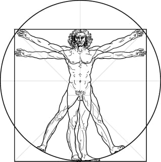 A Davinci style diagram of a man