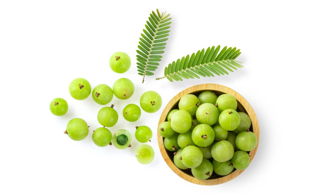 Amla: India’s Glutathione-Boosting Superfood
