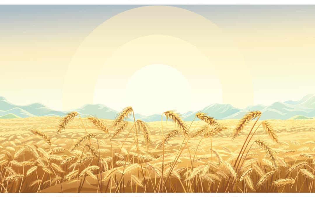 Simplifying Gluten Sensitivity: a Return to Sanity