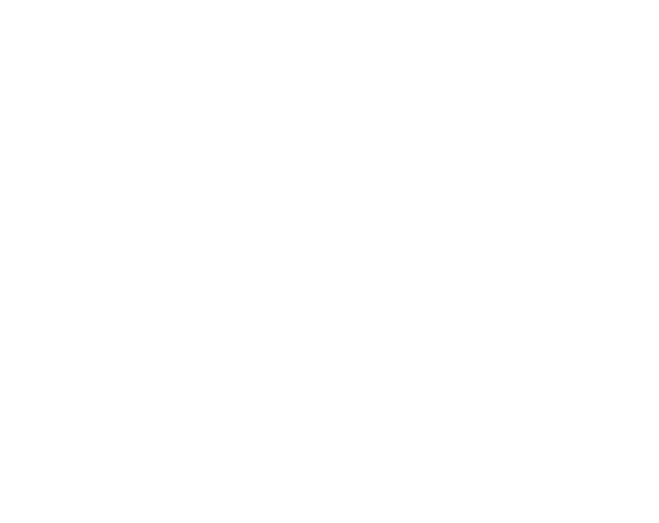White Logo Transparent 600 px