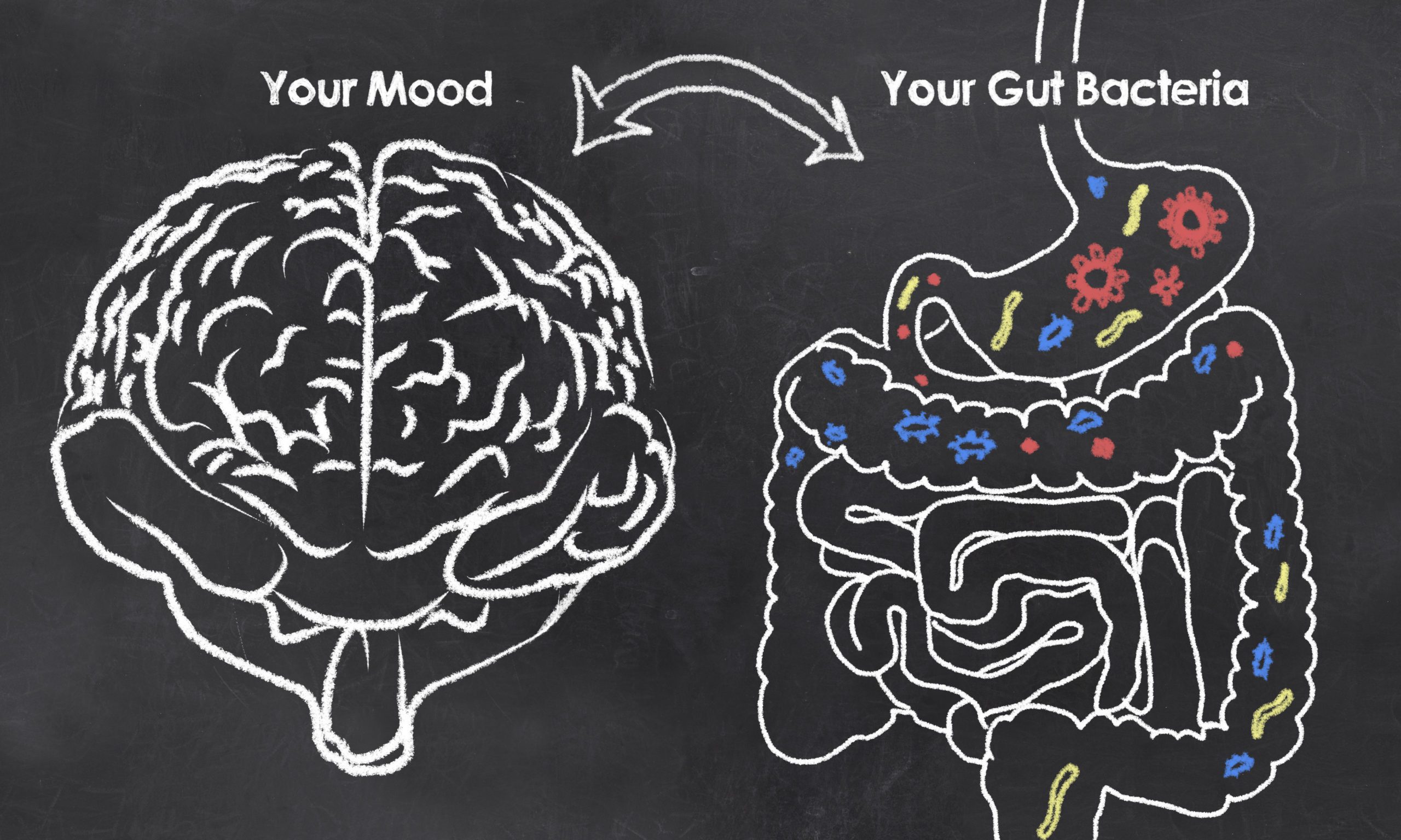 intestinal flora and emotional health