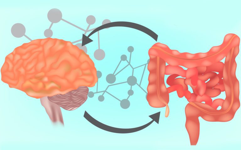 Leaky Gut and the Blood-Brain Barrier