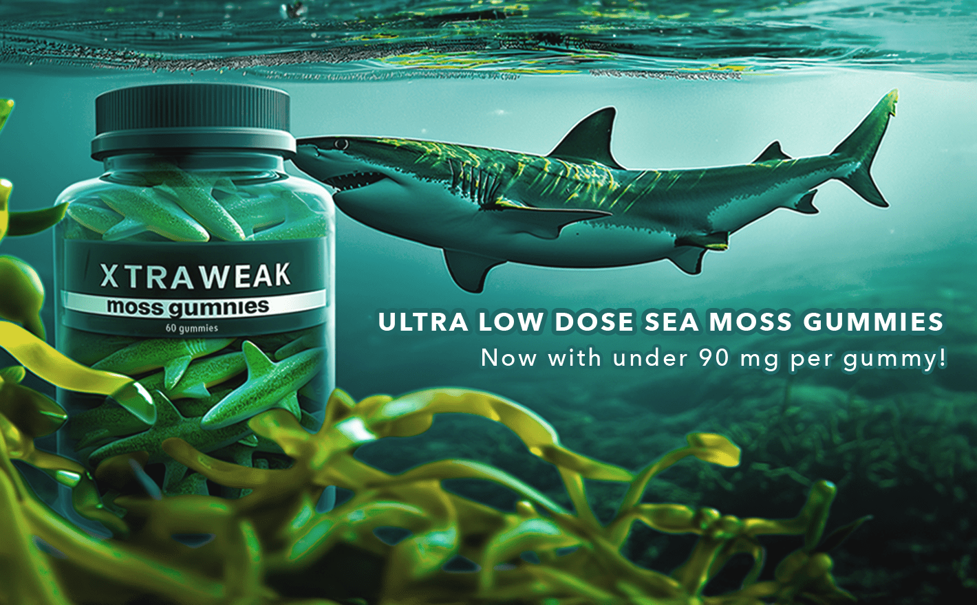 Ultra Low Dose Sea Moss Gummies