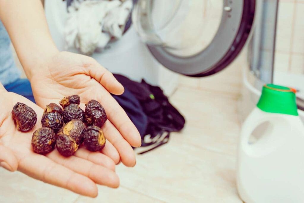 Woman using soap nuts to washing laundry.